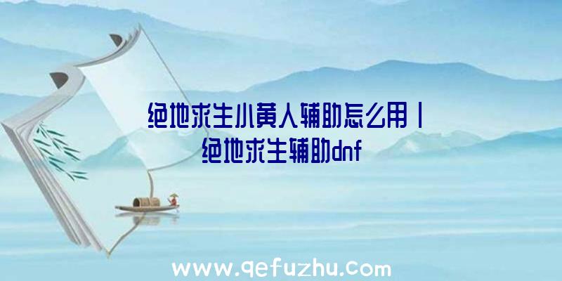 「绝地求生小黄人辅助怎么用」|绝地求生辅助dnf